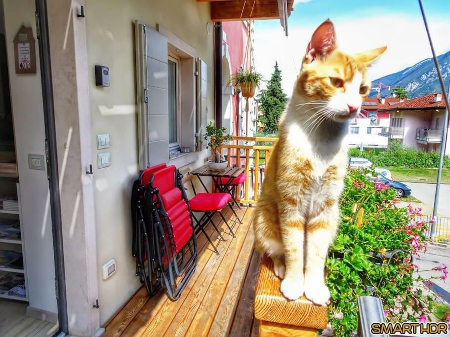 Antica Casa Alboletta - Appartamento Frida Kahlo Riva del Garda Esterno foto
